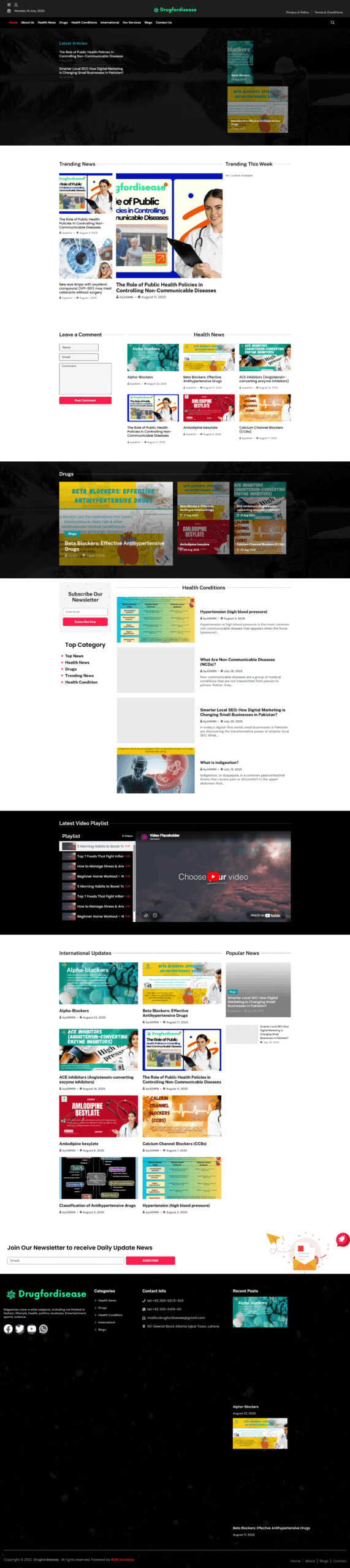 Drug For Disease Medical Blogging Website Development and Niche SEO by BDM Solutions